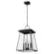 Z-Lite Broughton Outdoor Chain Mount Ceiling Fixture, 4-Light, 12.5 In.W x 19.5 In.H, Black/Clear Beveled 521CHB-BK - alternate 6